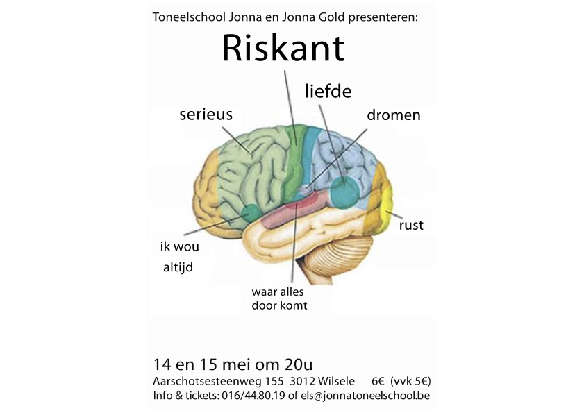 2010 riskant affiche